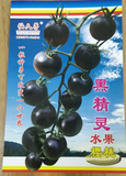 黑精灵水果樱桃番茄