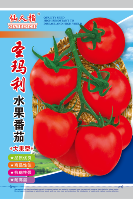 圣玛利水果番茄
